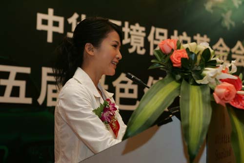 ��ɫʹ�������˽���